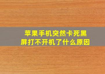 苹果手机突然卡死黑屏打不开机了什么原因