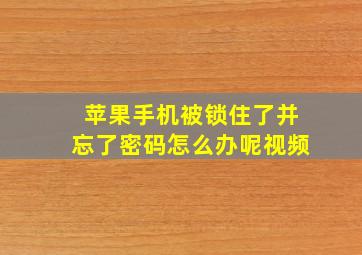 苹果手机被锁住了并忘了密码怎么办呢视频