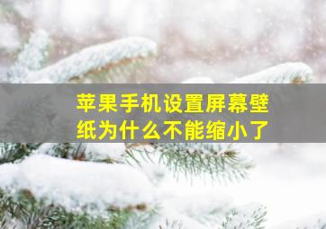 苹果手机设置屏幕壁纸为什么不能缩小了