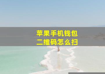 苹果手机钱包二维码怎么扫