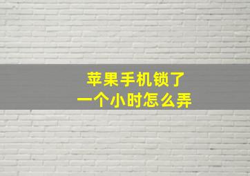 苹果手机锁了一个小时怎么弄