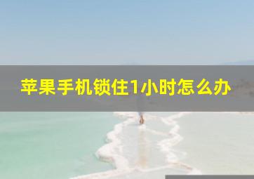 苹果手机锁住1小时怎么办