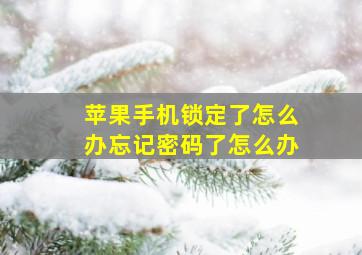 苹果手机锁定了怎么办忘记密码了怎么办