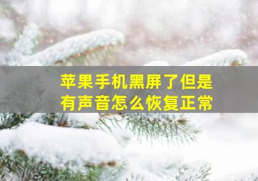 苹果手机黑屏了但是有声音怎么恢复正常