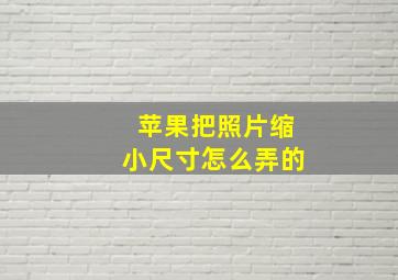 苹果把照片缩小尺寸怎么弄的