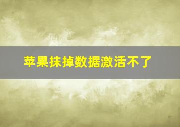 苹果抹掉数据激活不了