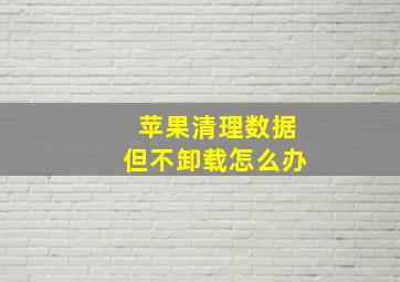 苹果清理数据但不卸载怎么办