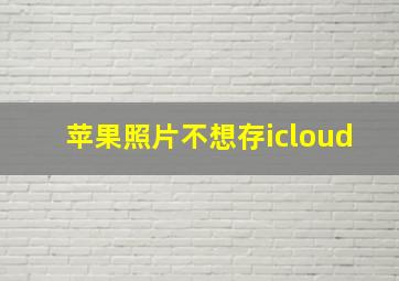 苹果照片不想存icloud