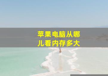 苹果电脑从哪儿看内存多大