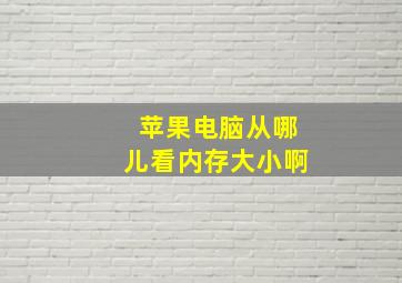 苹果电脑从哪儿看内存大小啊