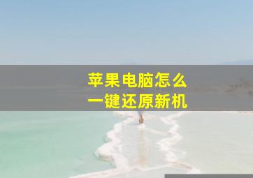 苹果电脑怎么一键还原新机