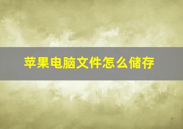 苹果电脑文件怎么储存