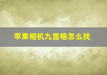 苹果相机九宫格怎么找