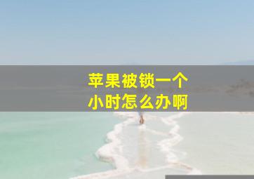 苹果被锁一个小时怎么办啊