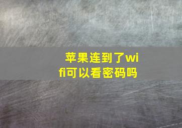 苹果连到了wifi可以看密码吗