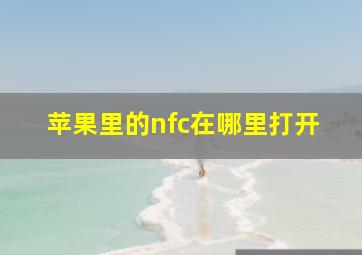 苹果里的nfc在哪里打开