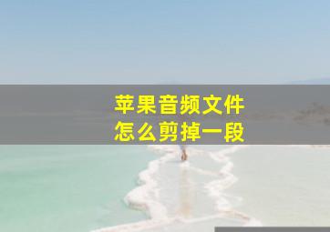 苹果音频文件怎么剪掉一段