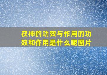 茯神的功效与作用的功效和作用是什么呢图片