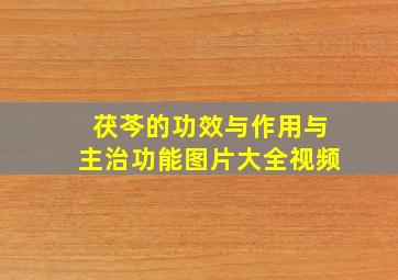 茯芩的功效与作用与主治功能图片大全视频