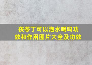 茯苓丁可以泡水喝吗功效和作用图片大全及功效