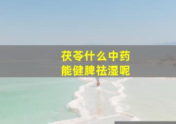 茯苓什么中药能健脾祛湿呢