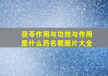 茯苓作用与功效与作用是什么药名呢图片大全