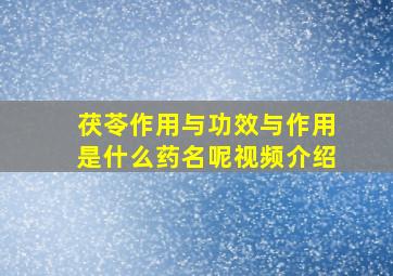 茯苓作用与功效与作用是什么药名呢视频介绍