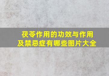 茯苓作用的功效与作用及禁忌症有哪些图片大全