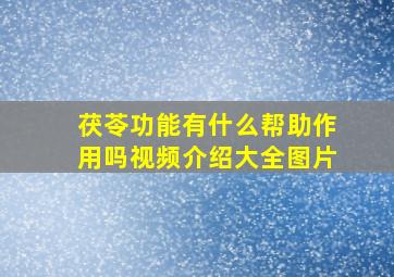 茯苓功能有什么帮助作用吗视频介绍大全图片