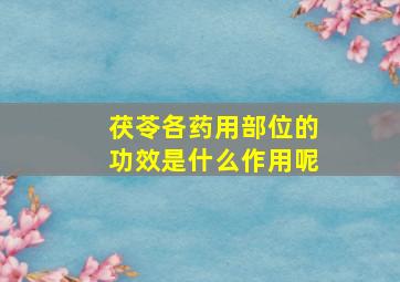 茯苓各药用部位的功效是什么作用呢