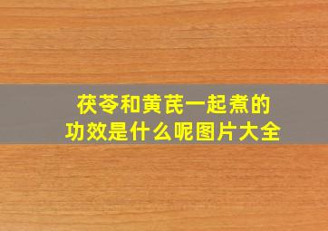 茯苓和黄芪一起煮的功效是什么呢图片大全