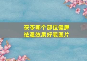 茯苓哪个部位健脾祛湿效果好呢图片