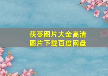 茯苓图片大全高清图片下载百度网盘