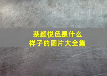 茶颜悦色是什么样子的图片大全集