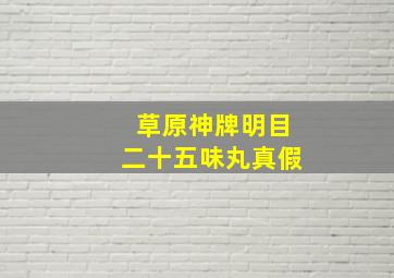 草原神牌明目二十五味丸真假