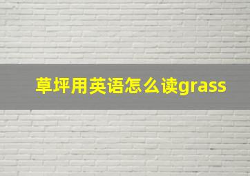 草坪用英语怎么读grass