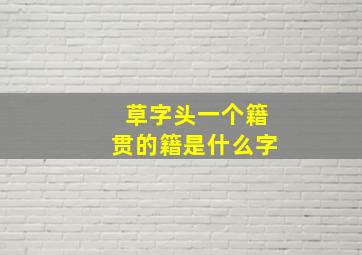 草字头一个籍贯的籍是什么字