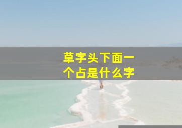 草字头下面一个占是什么字