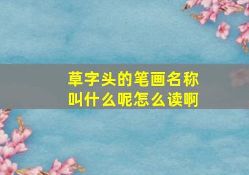 草字头的笔画名称叫什么呢怎么读啊