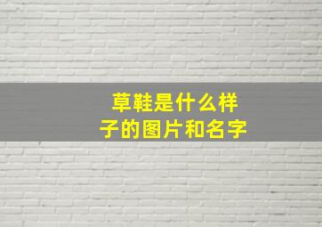 草鞋是什么样子的图片和名字