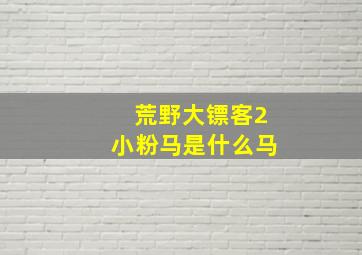 荒野大镖客2小粉马是什么马