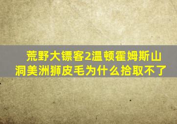 荒野大镖客2温顿霍姆斯山洞美洲狮皮毛为什么拾取不了