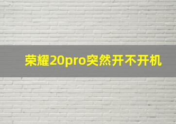 荣耀20pro突然开不开机