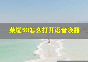 荣耀30怎么打开语音唤醒