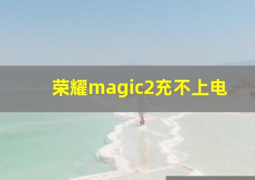 荣耀magic2充不上电