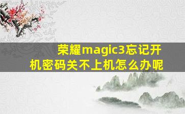 荣耀magic3忘记开机密码关不上机怎么办呢