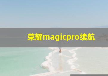 荣耀magicpro续航