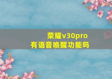 荣耀v30pro有语音唤醒功能吗