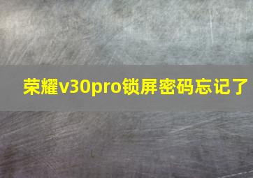 荣耀v30pro锁屏密码忘记了