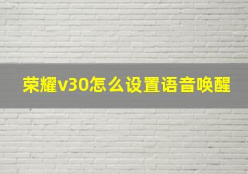 荣耀v30怎么设置语音唤醒